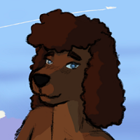 Thumbnail of an Irish Water Spaniel.